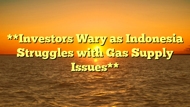 **Investors Wary as Indonesia Struggles with Gas Supply Issues**